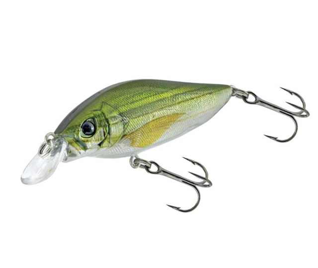 Shallow shad 8cm