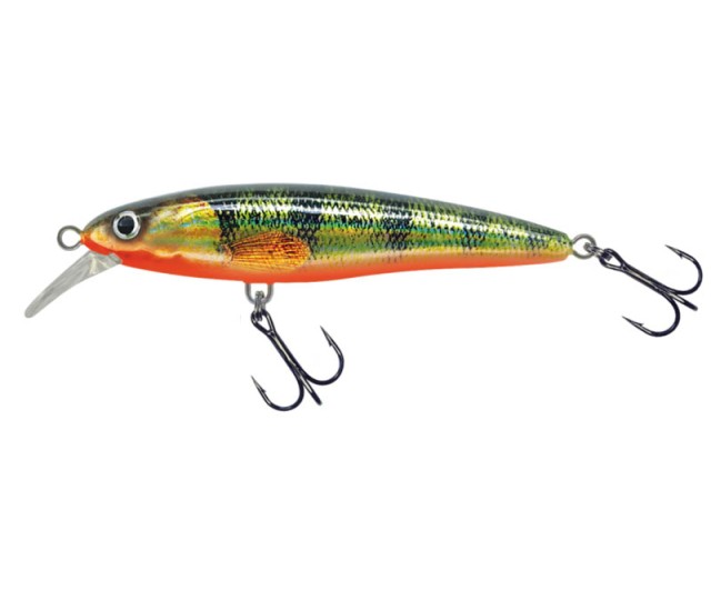 Pintral 5cm  0,5-0,8m plávajúci