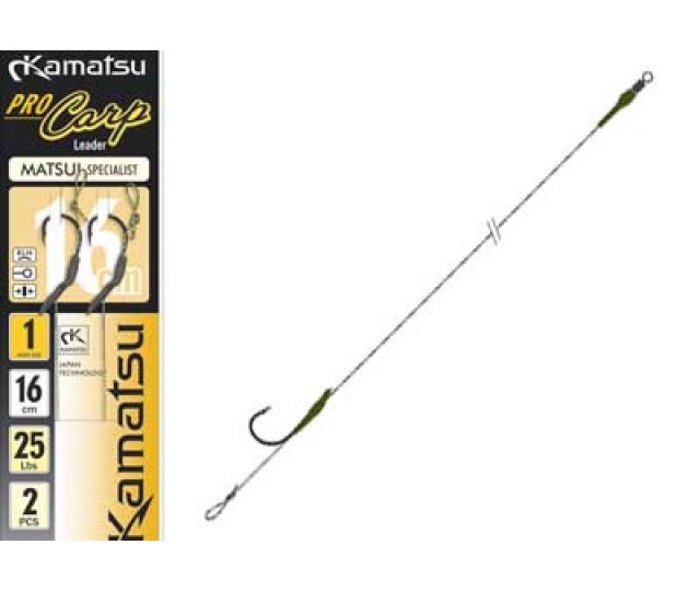 Matsui carp specialist