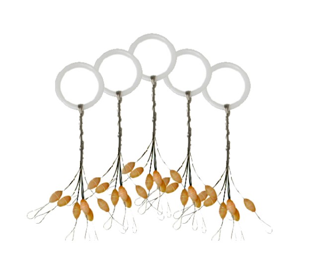 316001031 Konger stoper v.SS