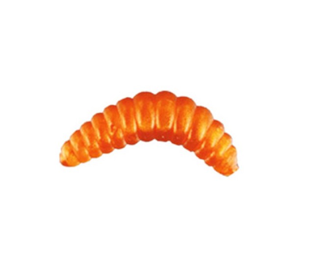 Honey worm 2 CM